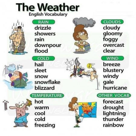 What is the weather like today?